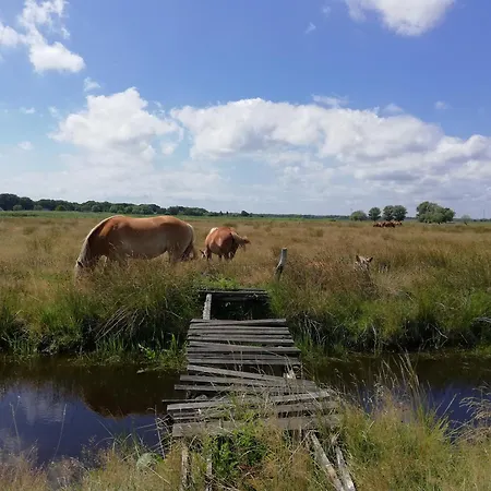DOM GOŚCINNY PTASZARNIA - Ekologia - Natura - Rewilding-2